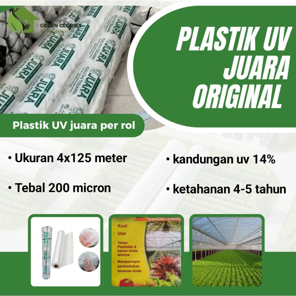 Plastik UV JUARA Uk. 4x125 meter, Ketebalan 200 micron
