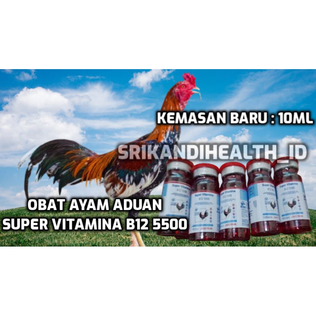 Super Vitamina B12 5500 Obat  Doping Ayam Untuk Meningkatkan Performa Ayam Aduan Dalam Kompetesi