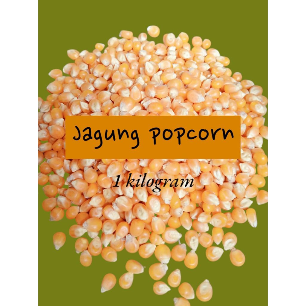 1 KG JAGUNG POPCORN