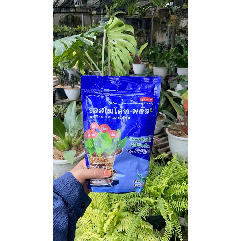 Pupuk Dekastar Thailand BIRU 1 kg | 500 gram | 250 gram | 150 gram