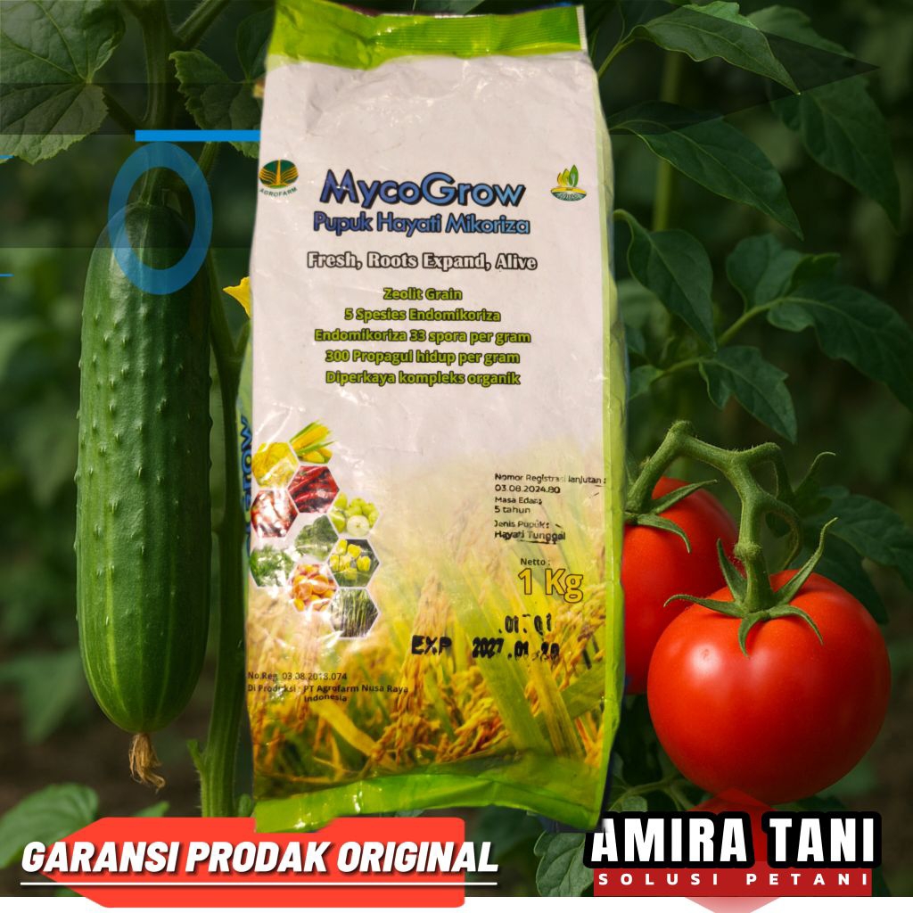 Mycogrow mikoriza 1 kg pupuk hayati