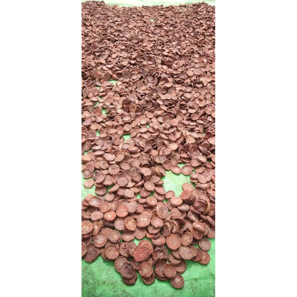 Pinang muda iris kering