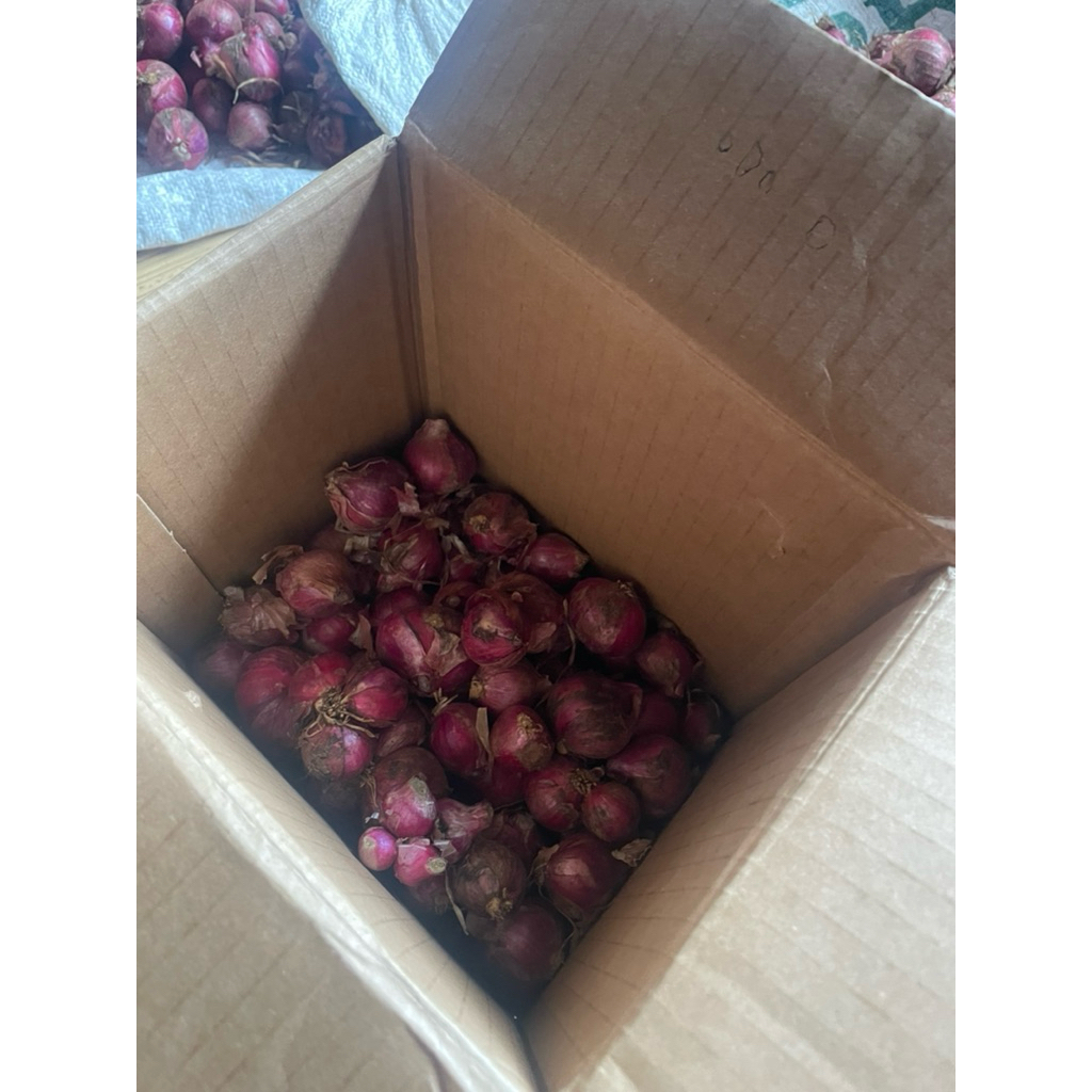 BAWANG MERAH GARUT