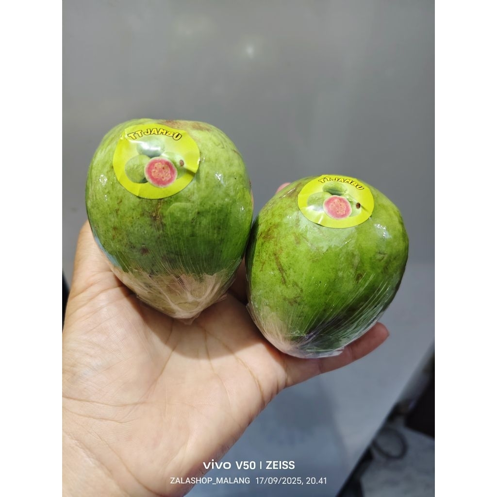 

1 KG JAMBU MERAH SUPERMARKET JUAL JAMBU MERAH MALANG MURAH