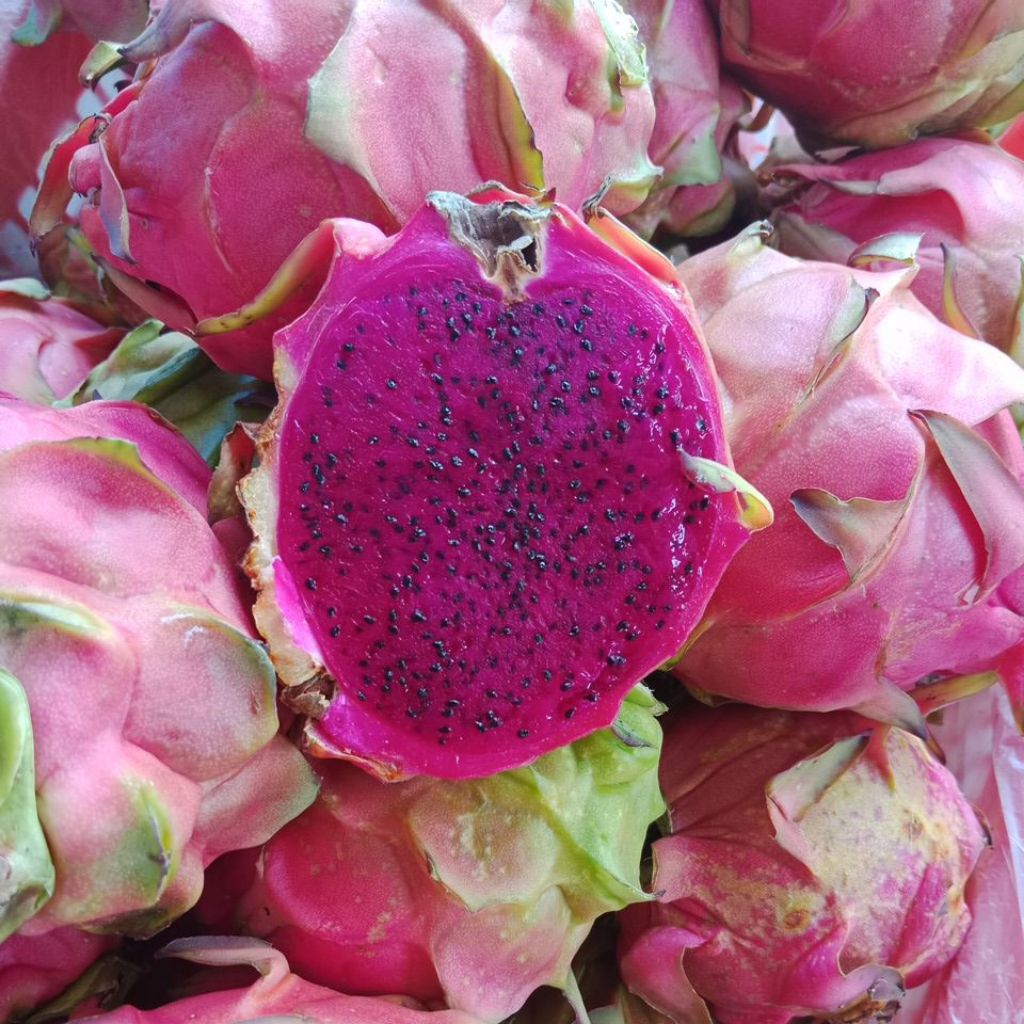Buah naga 1kg/dragon fruits 1kg/buah naga manis