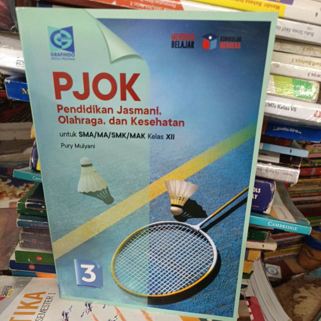 PJOK Pendidikan jasmani olahraga dan kesehatan untuk SMA kelas 12 kurikulum merdeka original bekas G