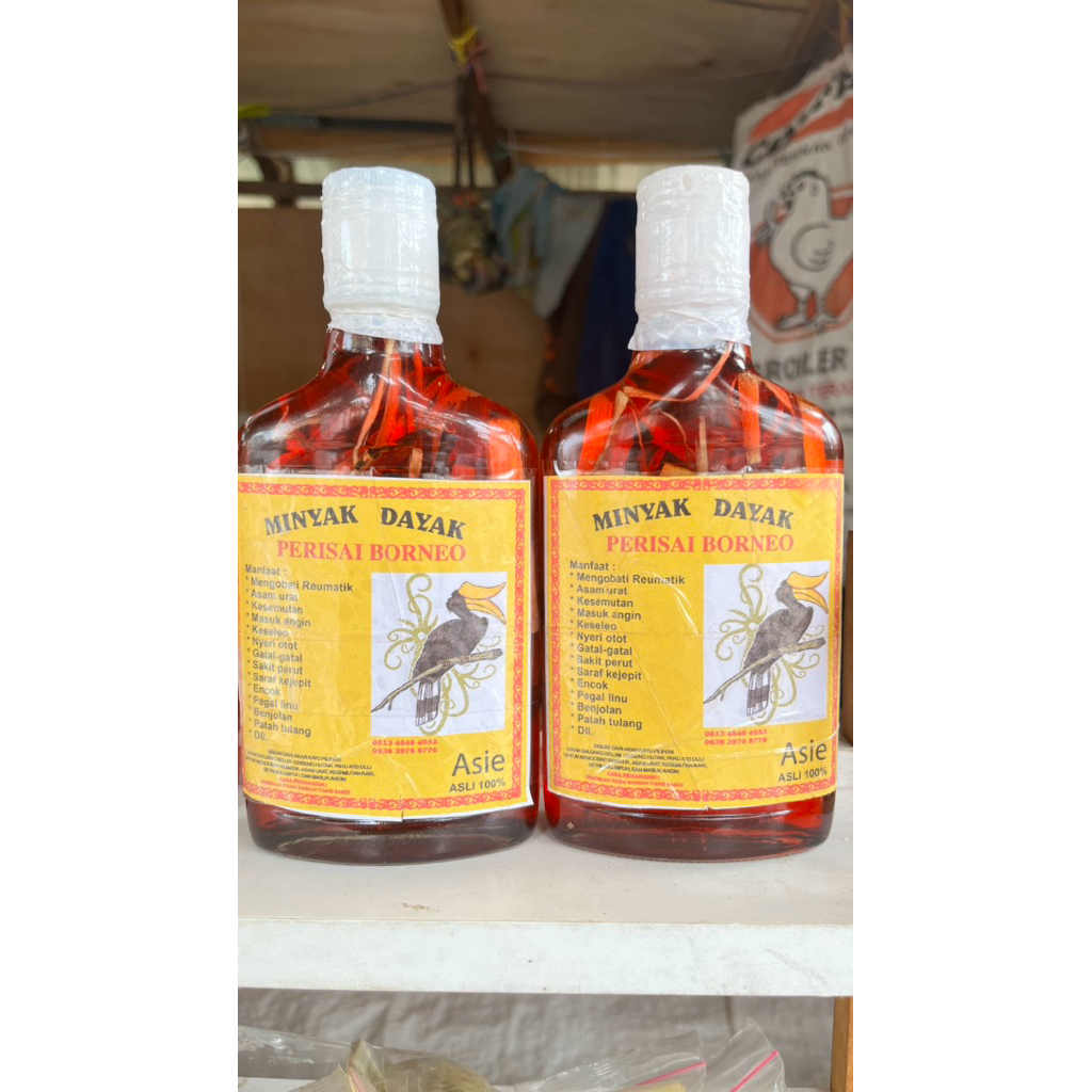 Minyak urut dayak cap enggang kerasa panasnya asli