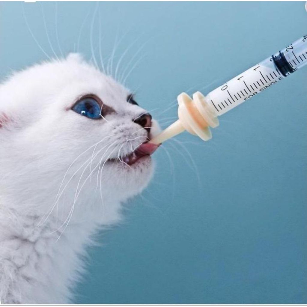 dot kucing dan anjing baru lahir dot pentil