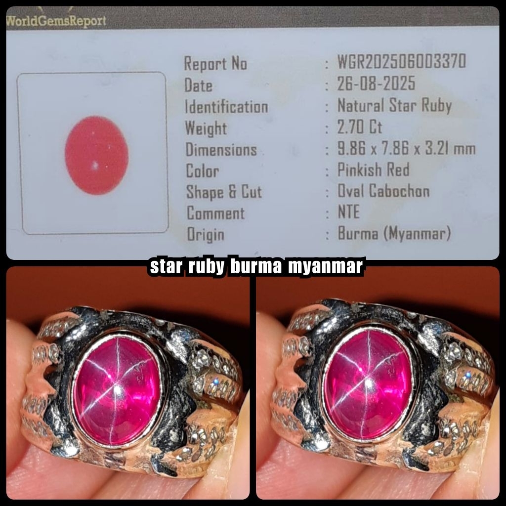 natural star ruby burma belang koi burma myamar + ring perak