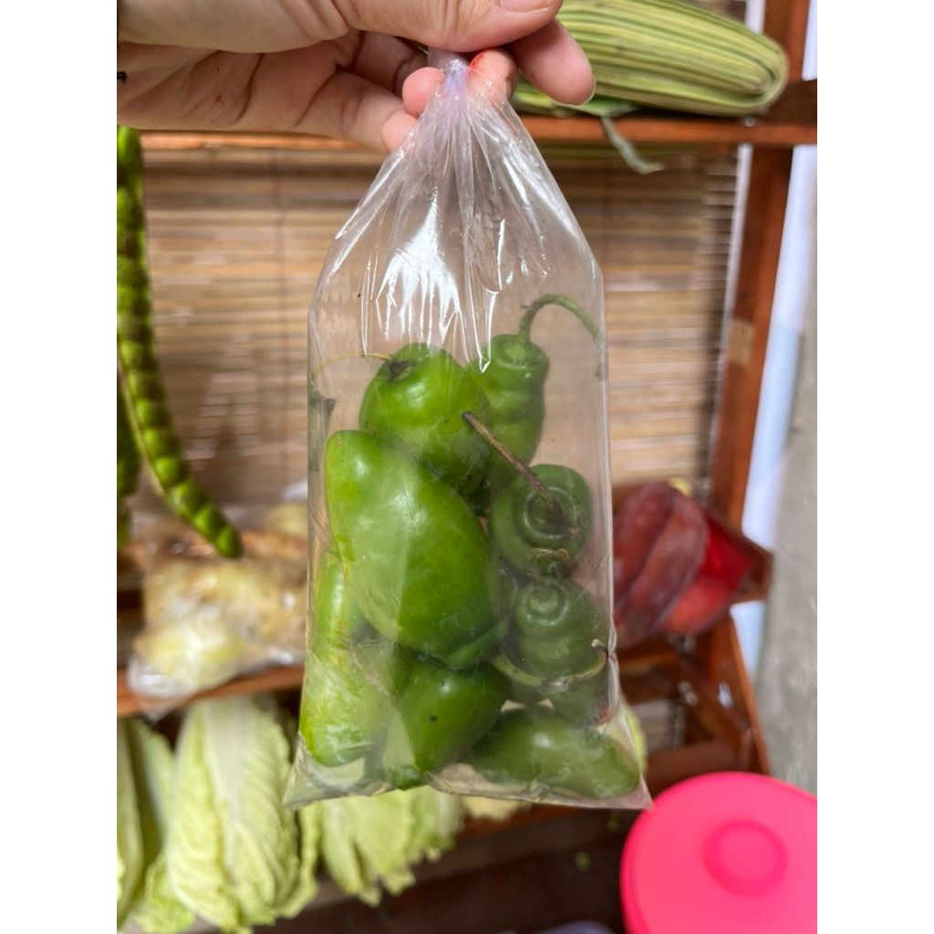 

cabe gendot fresh segar