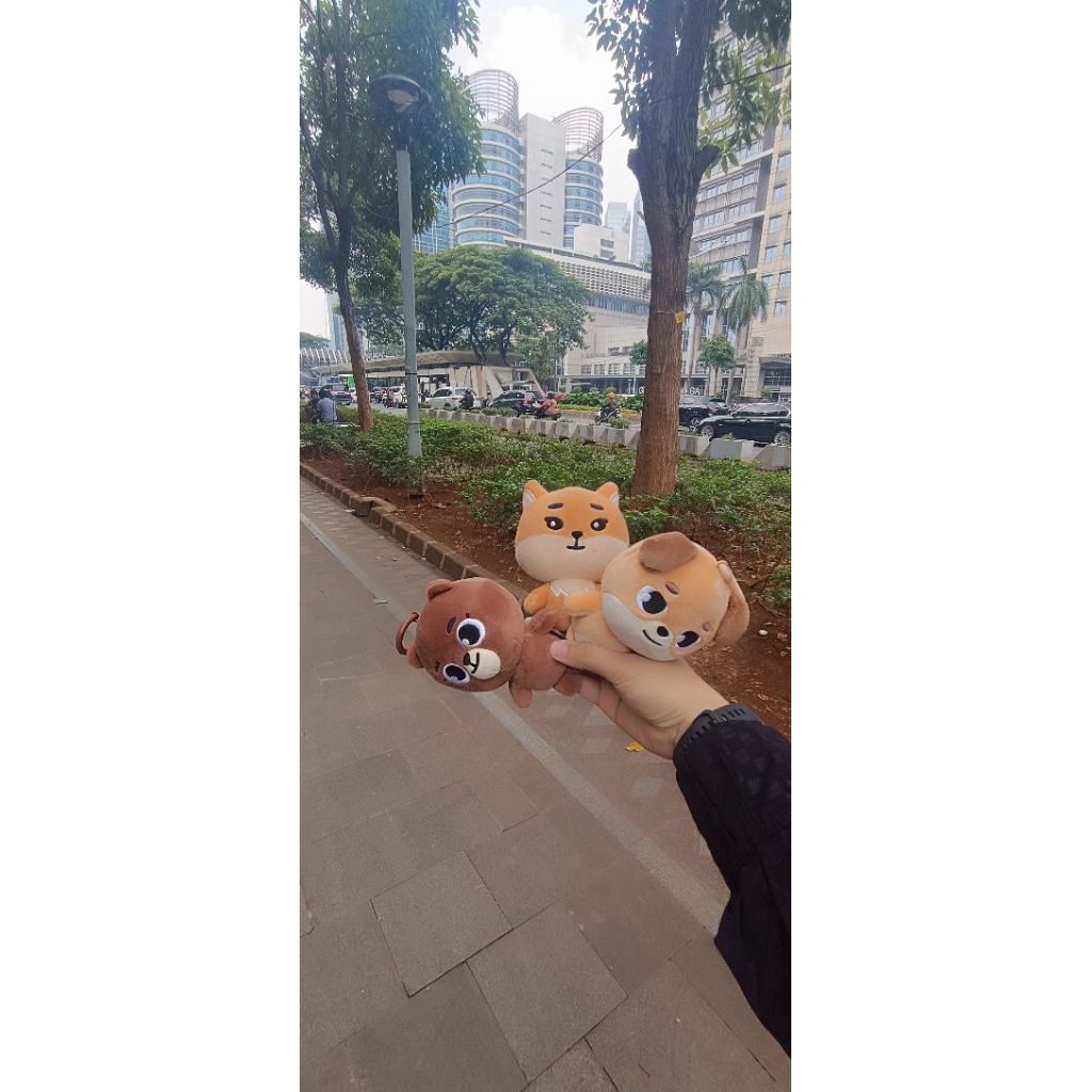 DENIMALZ DON 2019, KE 2020, BANG 2020