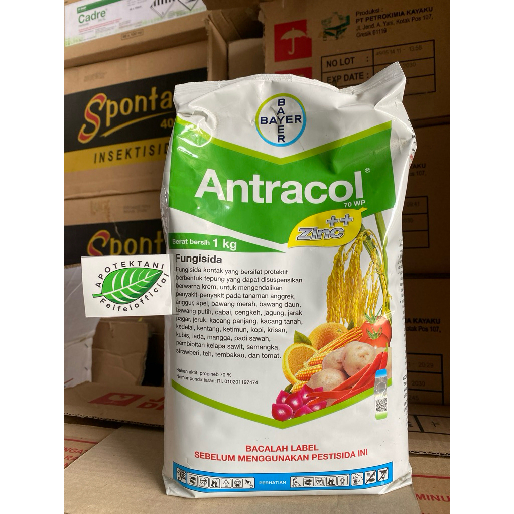 ANTRACOL 70 WP 1 KG FUNGISIDA / ANTRACOL 1KG ORIGINAL ASLI 100%