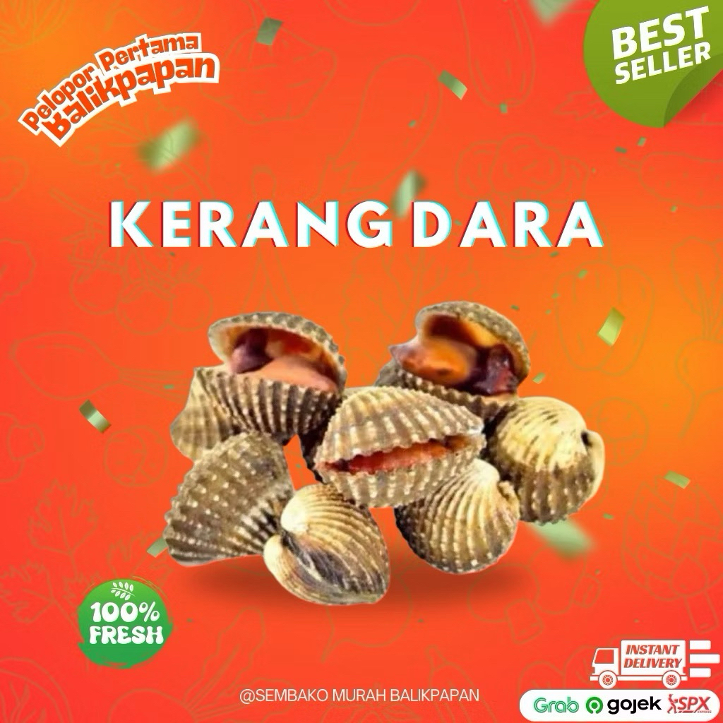 Kerang Dara Segar