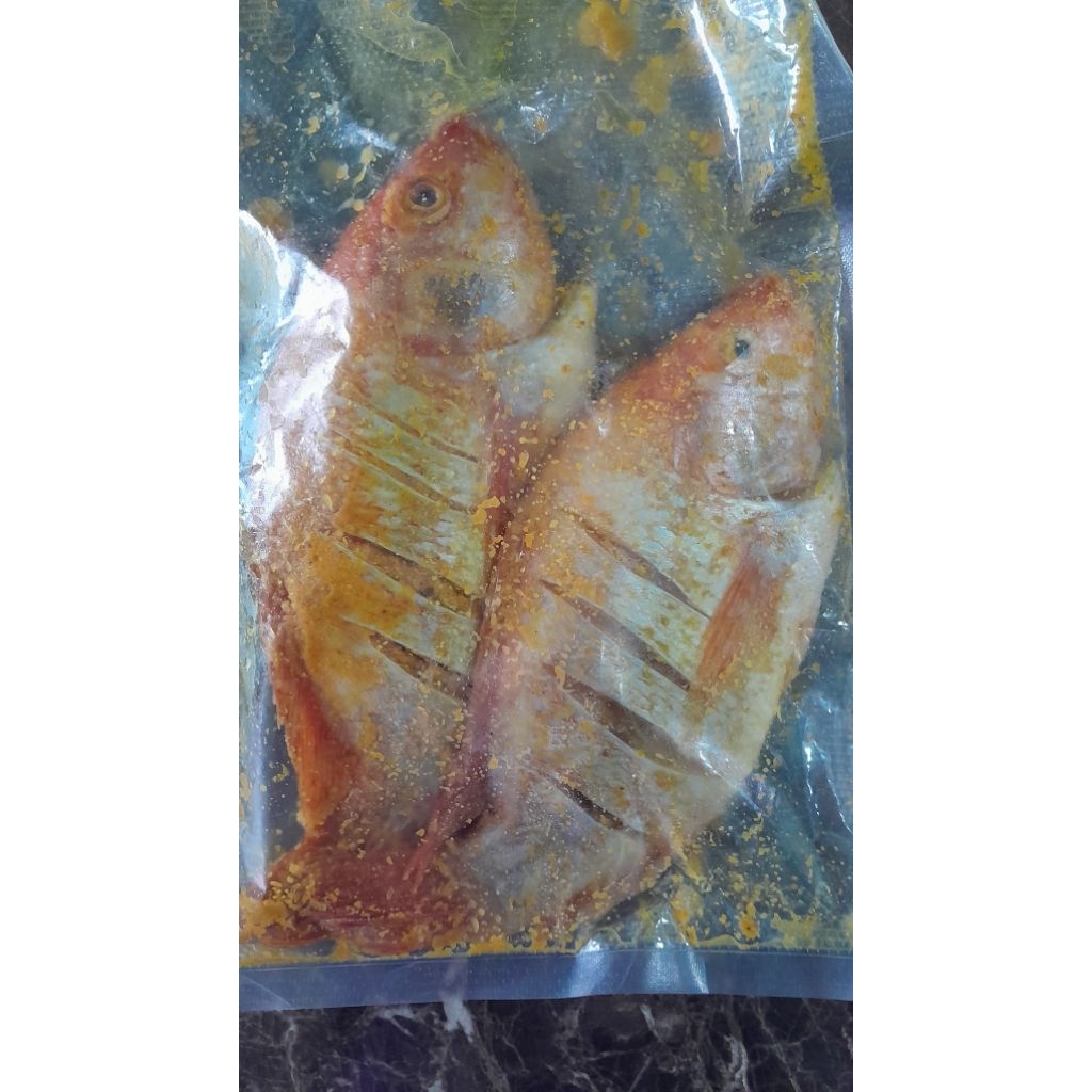 

Ikan Nila Frozen (1 Pack, 2 Pcs)