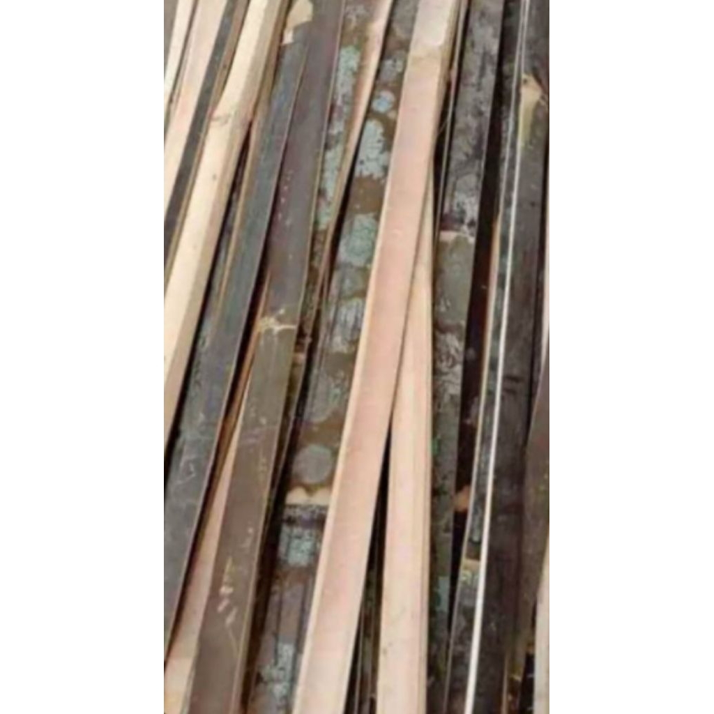 bambu petuk buat anjir tanaman