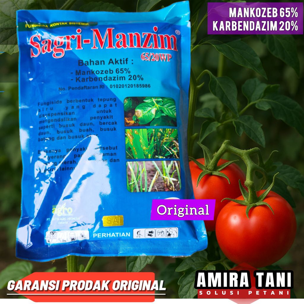 Sagri manzim fungisida kontak sistemik