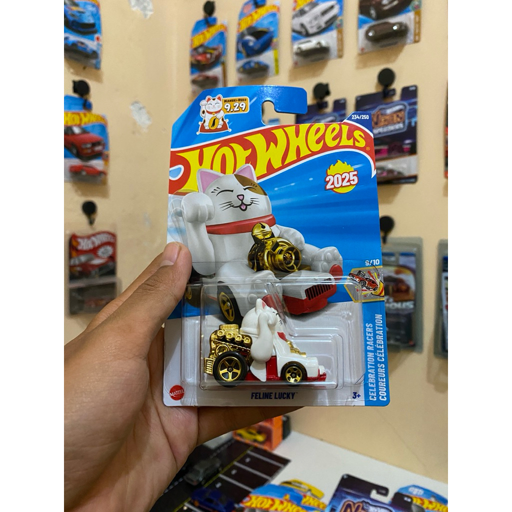 Hot Wheels Reguler Real Car