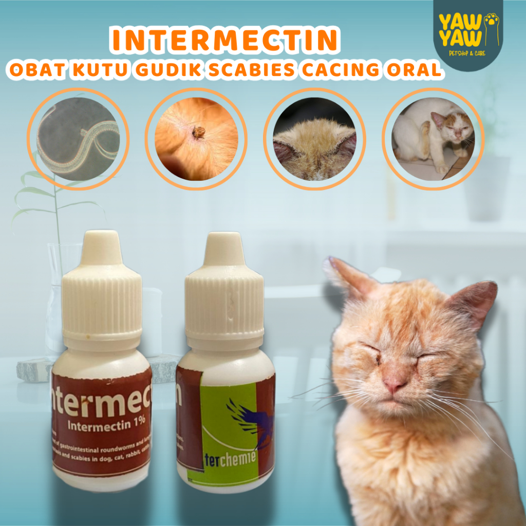 Intermectin Oral 10 Ml Obat Kutu Gatal Gudik Cacing Scabies Kucing Anjing Kelinci Obat Kutu Kurap