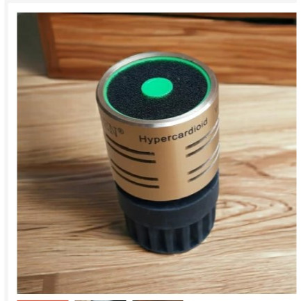 SPOOL SPUL MIC RAYDEN V609 DYNAMIC MIC VOCAL KABEL / WIRELESS