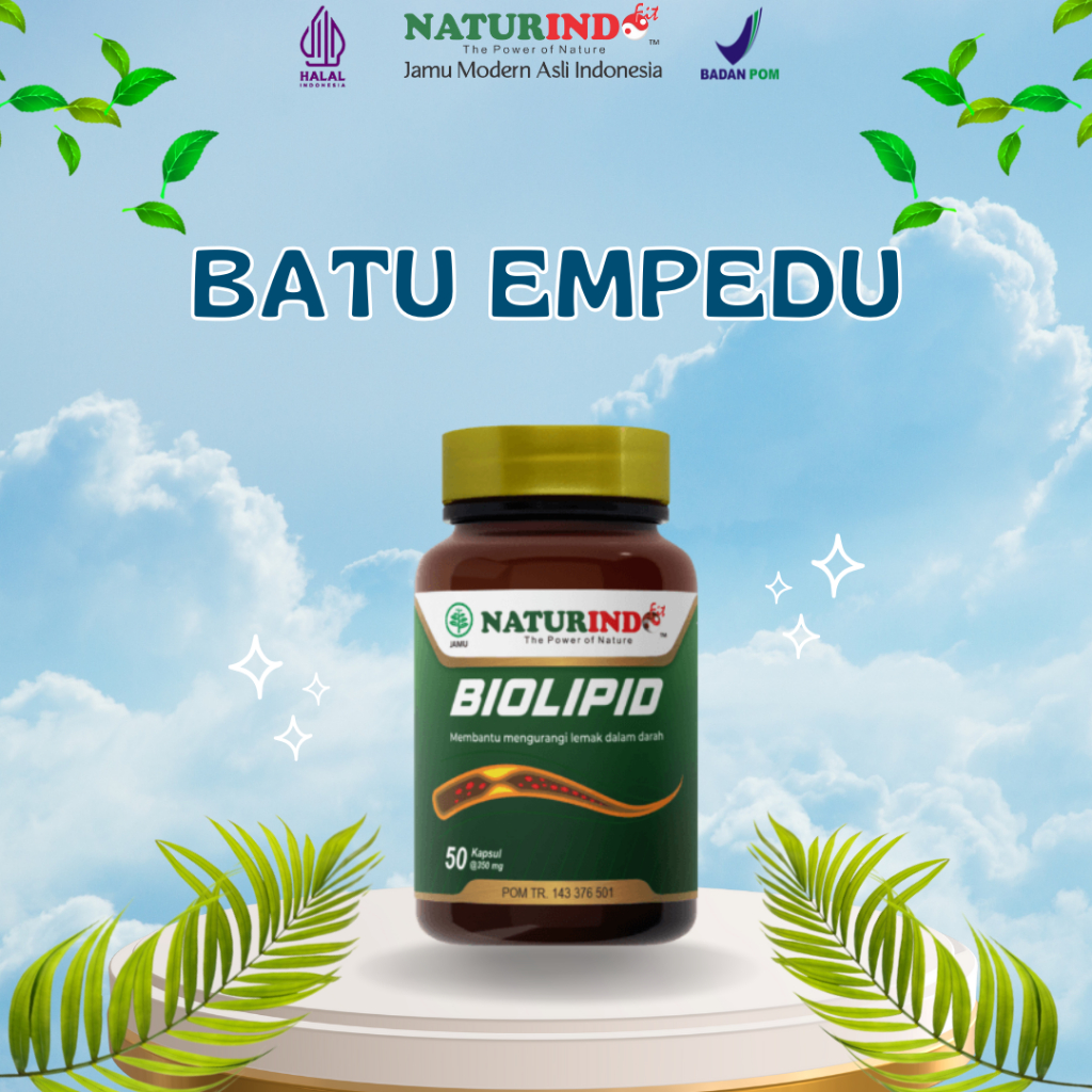 BIOLIPID OBAT BATU EMPEDU HERBAL BIOLIPID OBAT HERBAL BATU EMPEDU HANCUR NATURINDO