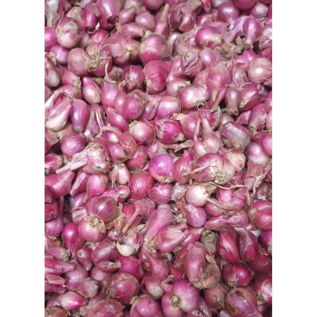 

bawang merah probolinggo 1kg sedang kecil promo hari ini