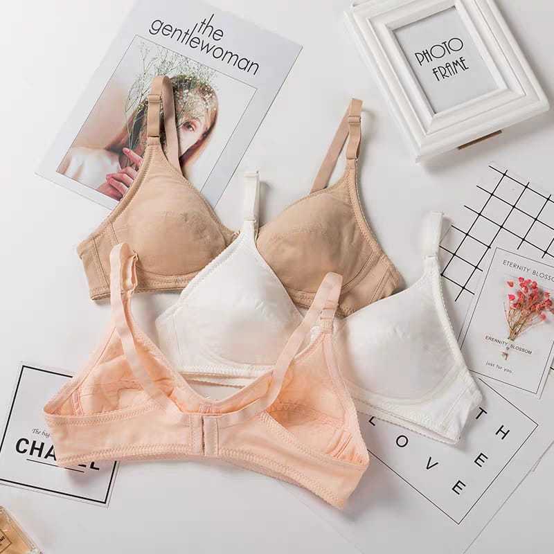 6 PCS Sport Bra Pakaian Dalam Wanita High Quality Tanpa Kawat dan Busa Merk Febri, Najwa & BH Plum