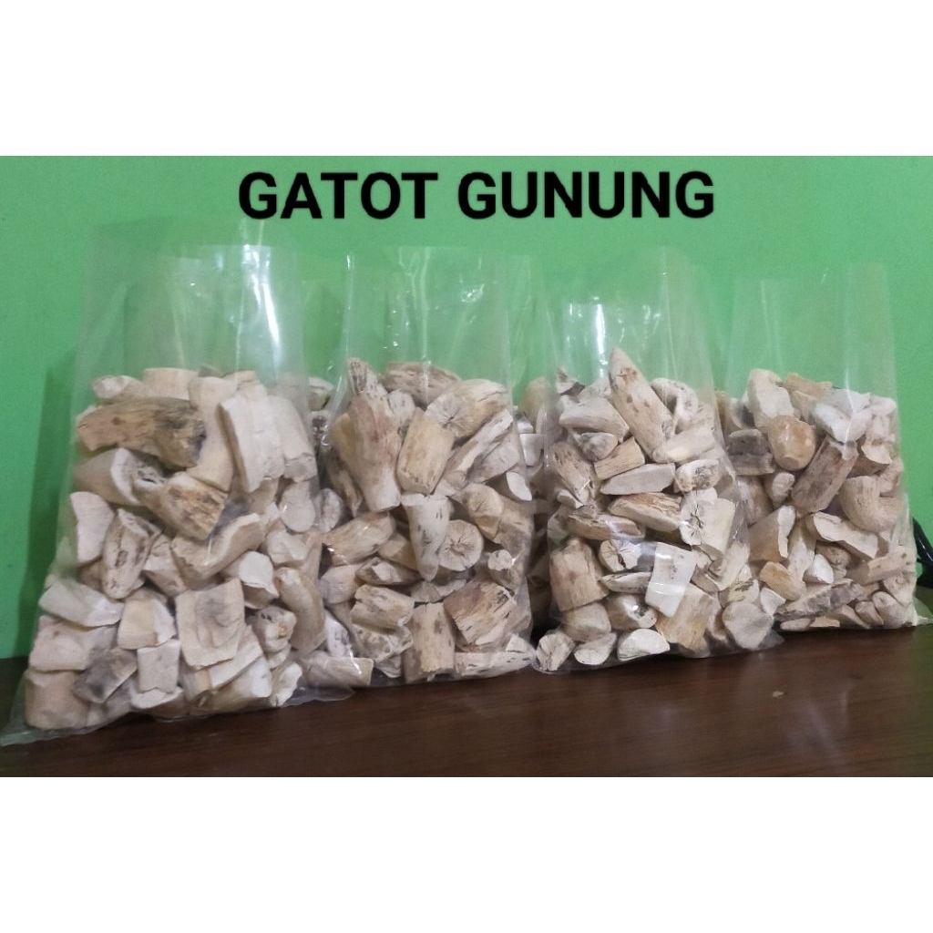 

GATOT GUNUNG