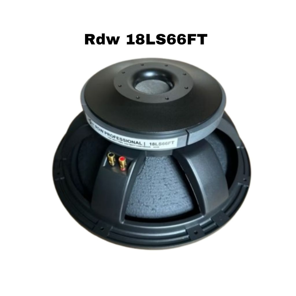 Speaker 18in RDW Subwoofer LS18 66FT