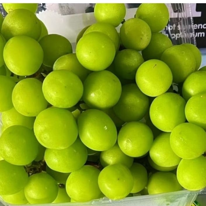 Anggur hijau muscat pack ±500gram