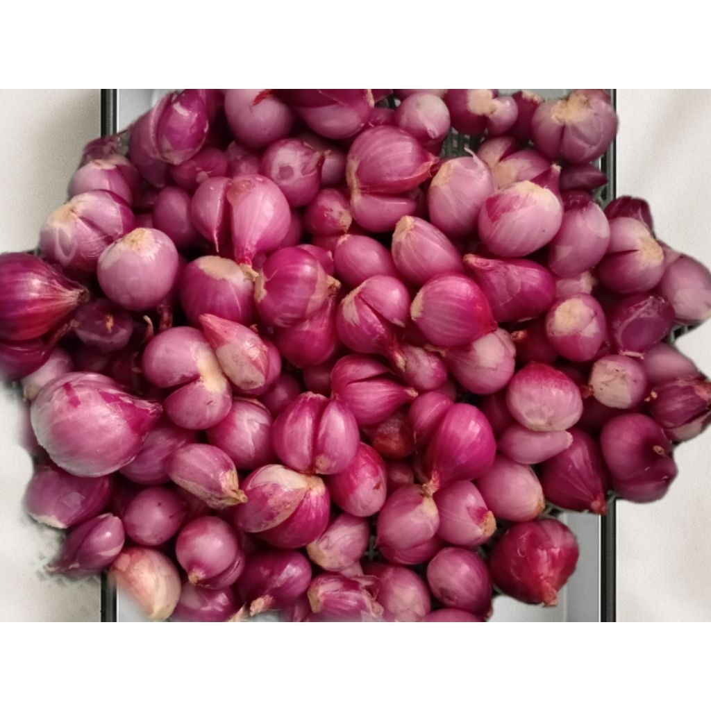 Bawang Merah Kupas 1kg
