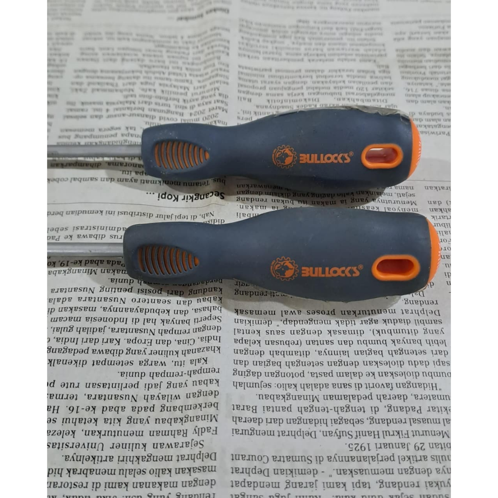 Obeng Plus- Min - obeng Bunga  5 x 100 mm 4" Bullocks