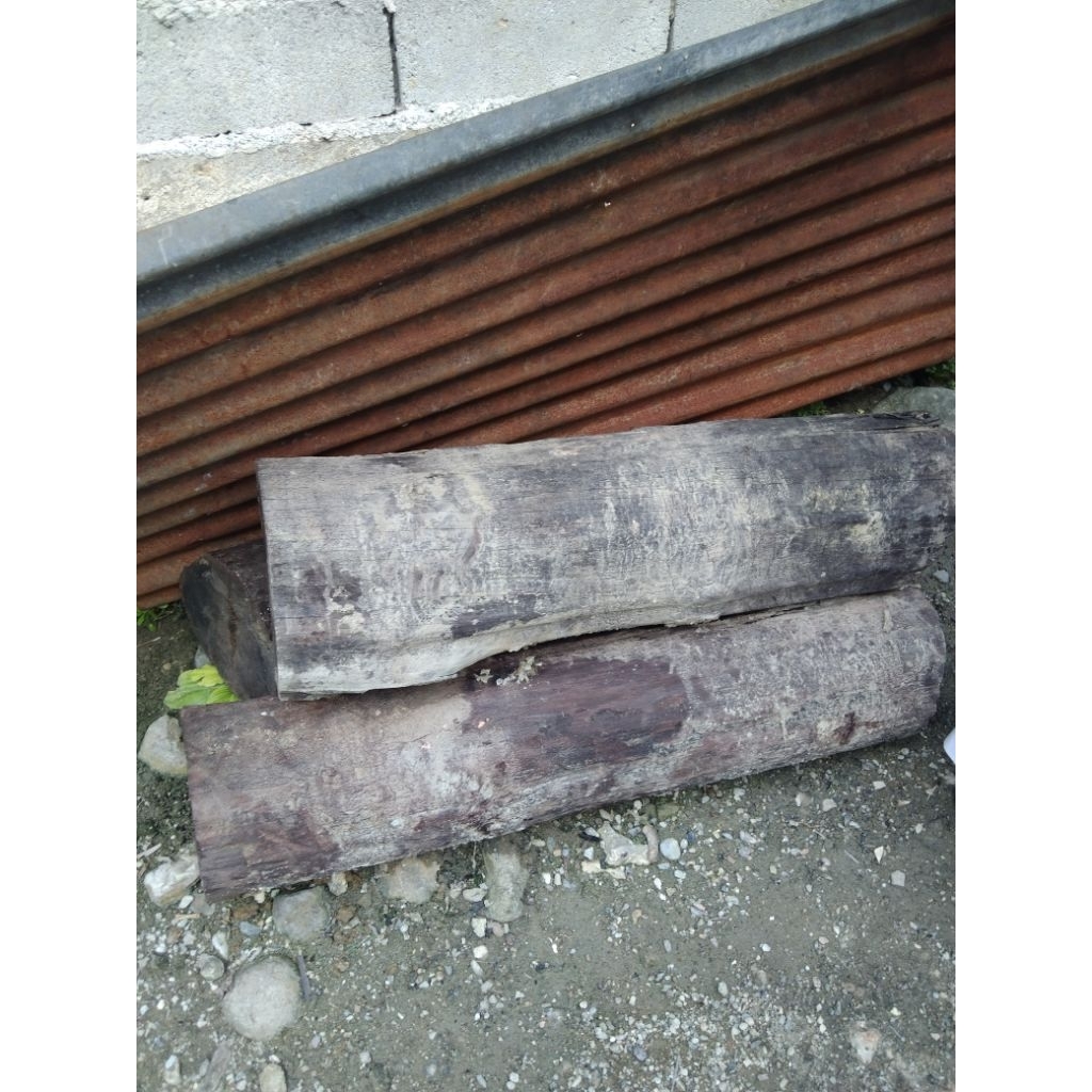 Kayu hitam / Ebony gelondongan Sulawesi tengah umur ratusan tahun. asli. Original Ebony aged hundred