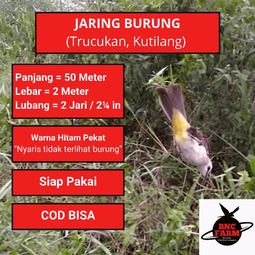Jaring Pikat Burung Trucukan 50m Jaring Burung Sawah Jaring Jebakan Burung