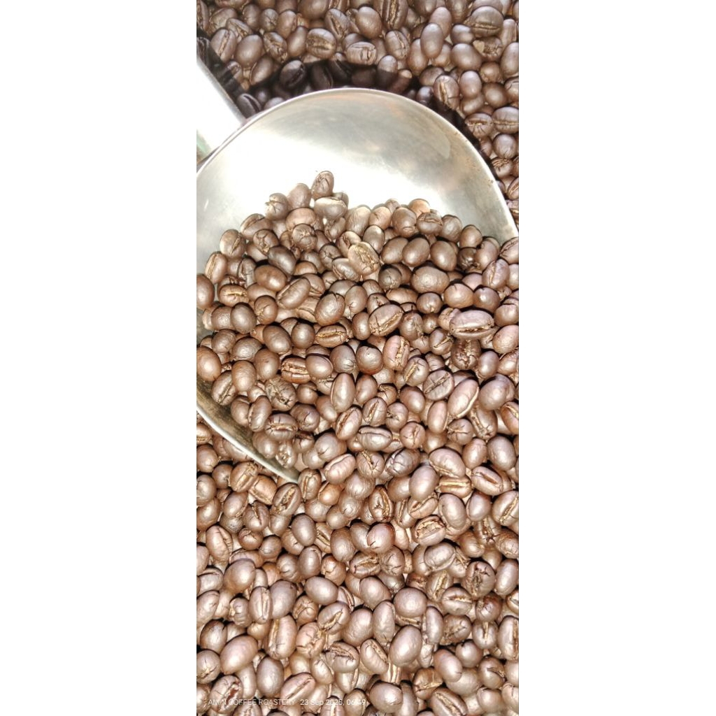 KOPI LANANG/PEABERRY ROBUSTA DAMPIT 1KG ROASTED/BUBUK.