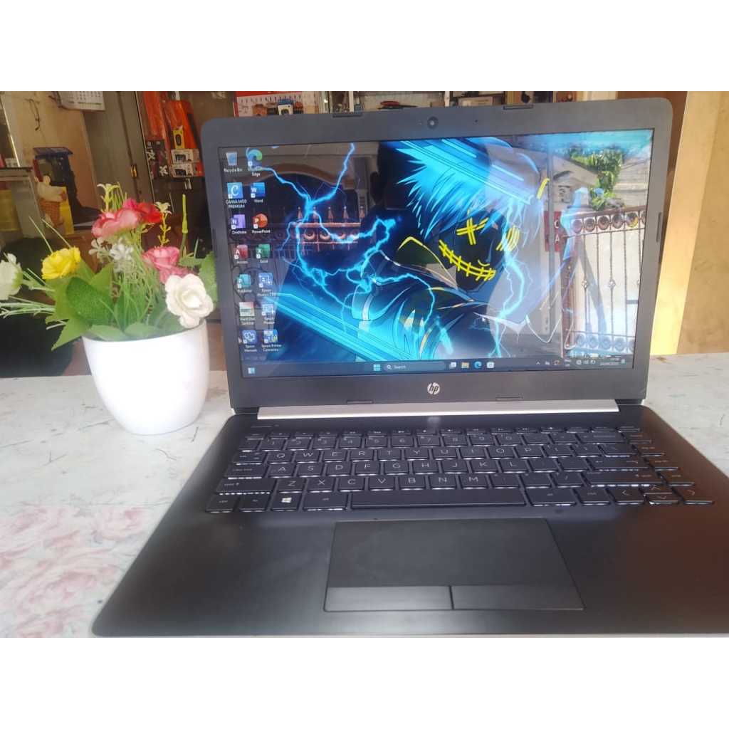 HP Laptop 14 N4020