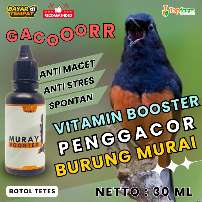 Vitamin Burung Murai 30ML/ Vitamin Penggacor Murai/ Vitamin Murai Batu/ Vitamin Murai 30ML/ Vitamin 
