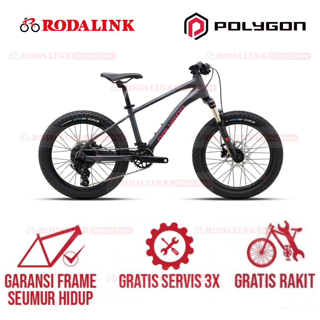 Polygon Sepeda MTB Junior Xtrada 20 | Sepeda Gunung Anak Alloy