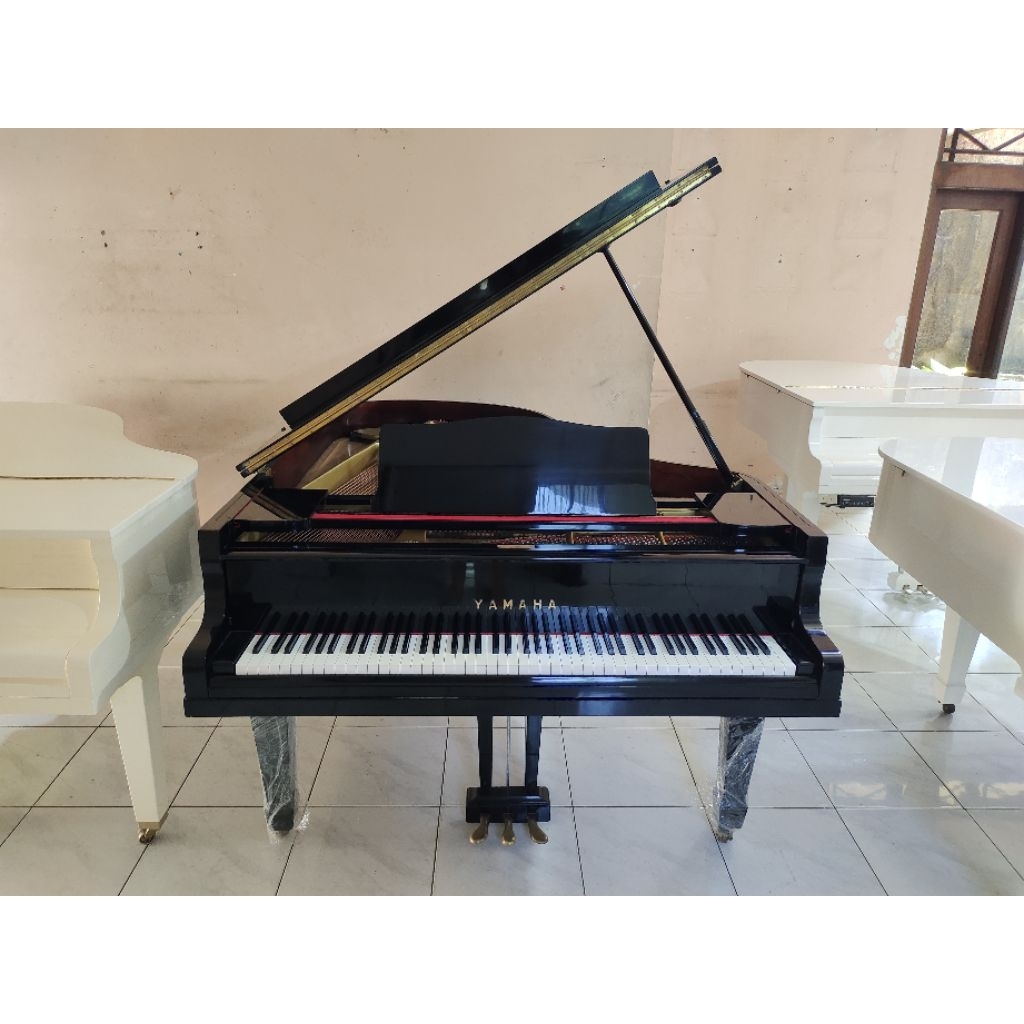 Grand Piano Yamaha G3 Nippon Gakki Akustik