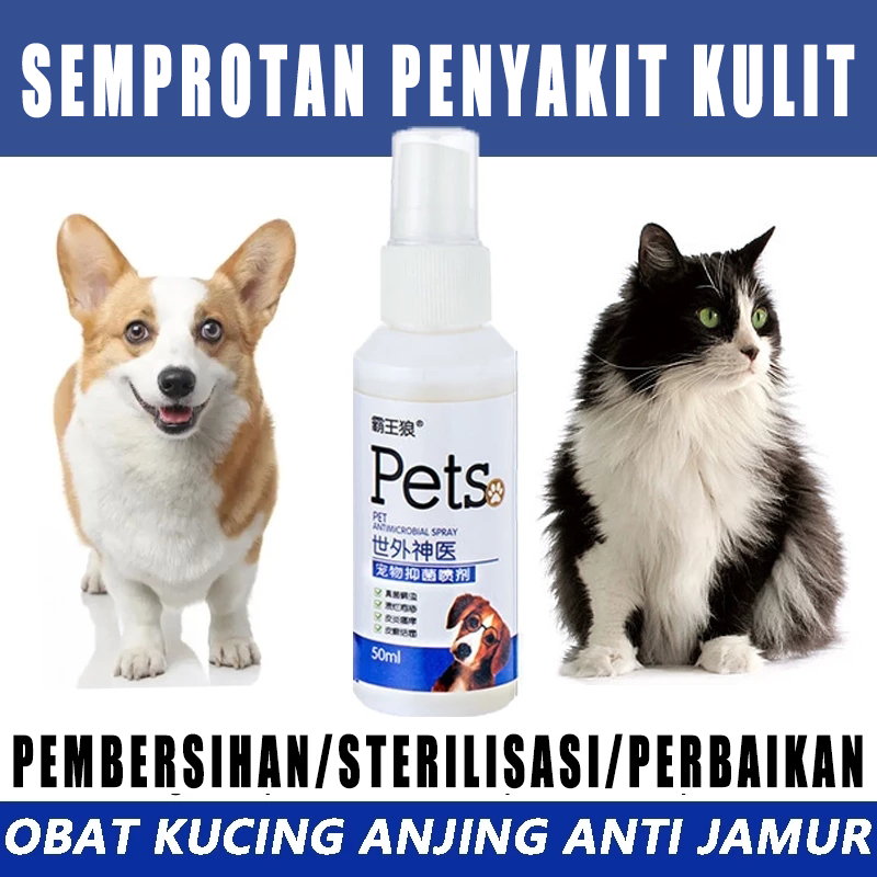 0bat kurap kucing obat semprot kulit kucing spray Obat jamur kucing Anti Infeksi Kulit Scabies Demod