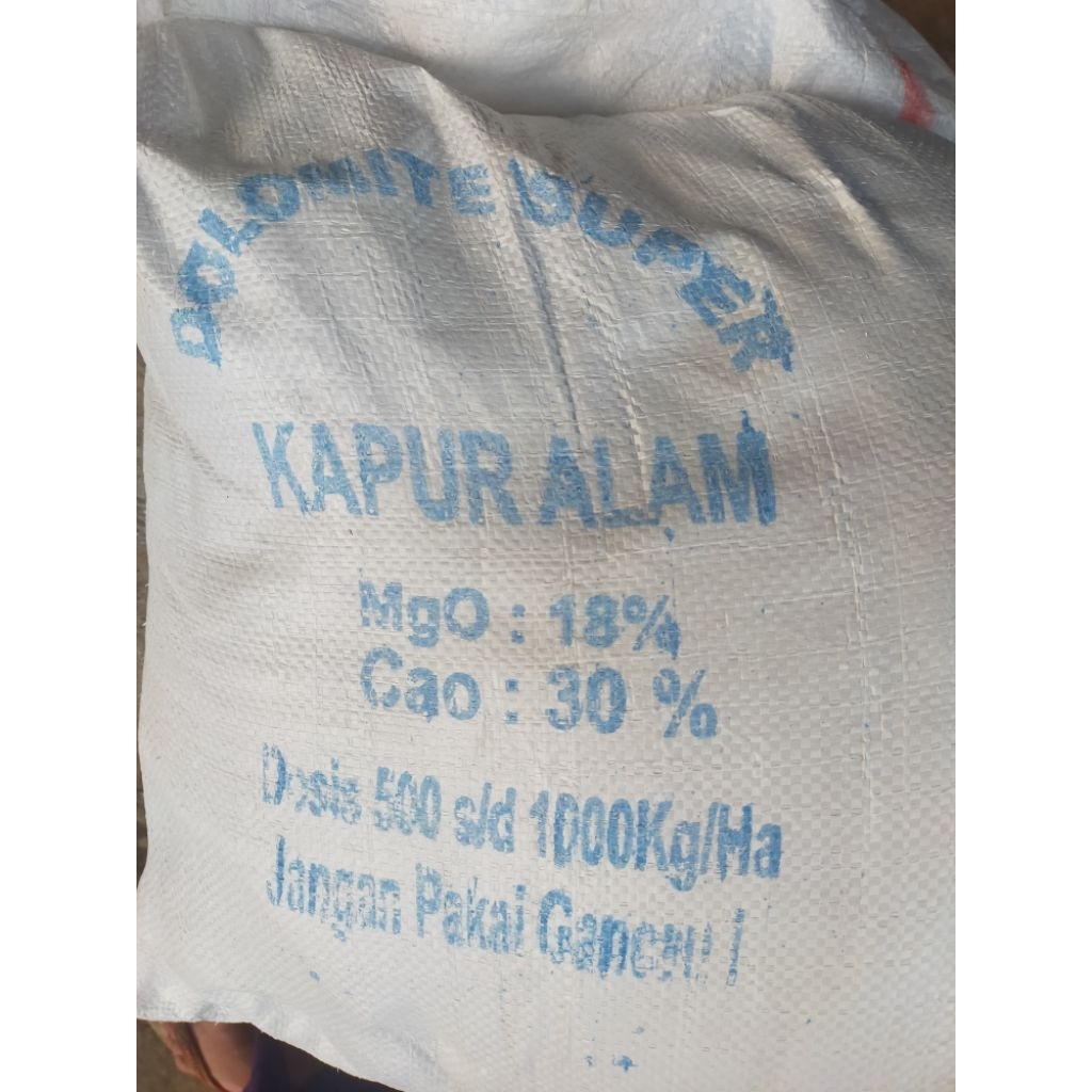 KAPUR ALAM | KAPUR DOLOMIT | KAPUR DOLOMIT REPACK/100GR ORIGINAL