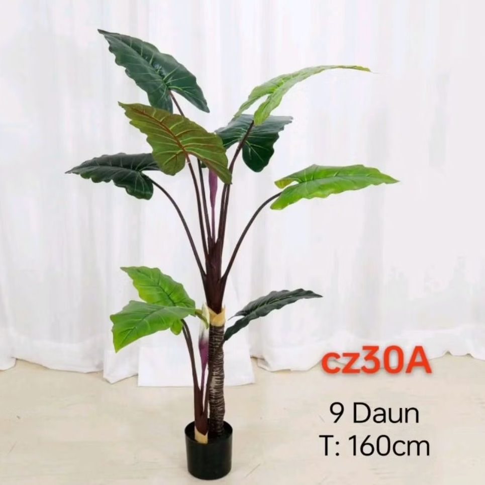TANAMAN TALAS ARTIFICIAL TANAMAN POHON TALAS  ARTIFICIAL TINGGI 160 CM - POHON TALAS MODEL TERBARU