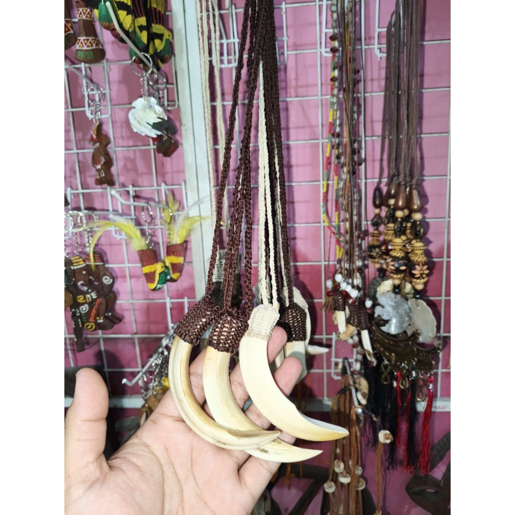 Kalung taring babi Asli 100%/Oleh2 khas papua