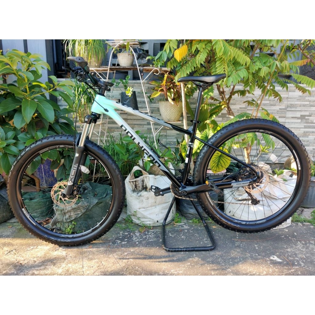 polygon xtrada 5 2021