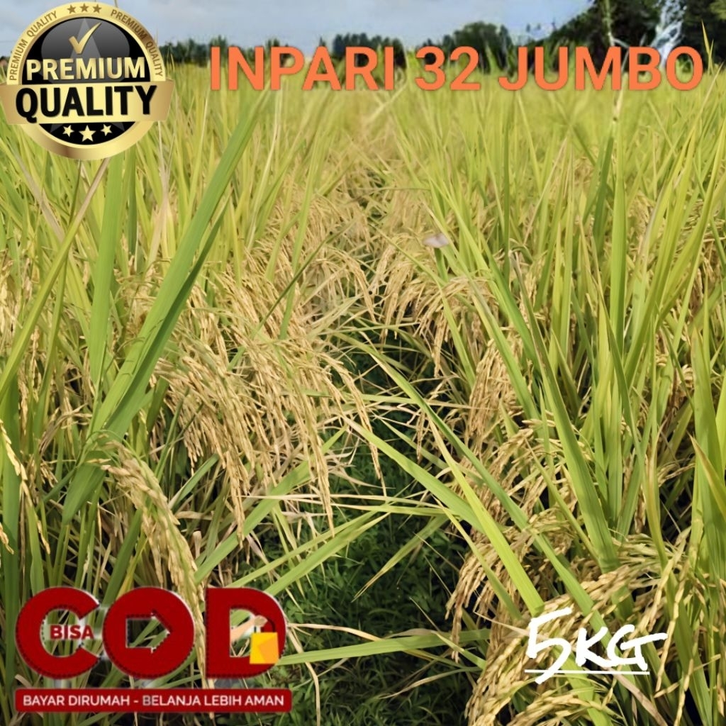 BENIH BIBIT PADI INPARI 32 JUMBO SUPER UNGGUL 5KG