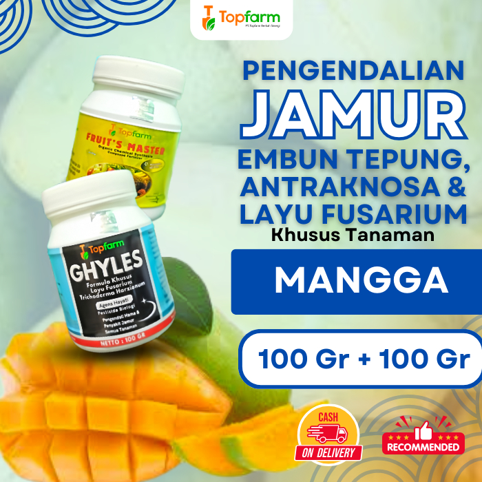Obat Jamur Pohon Mangga / Fungisida Mangga / Fungisida Pembasmi Jamur Mangga / Fungisida Obat Jamur 