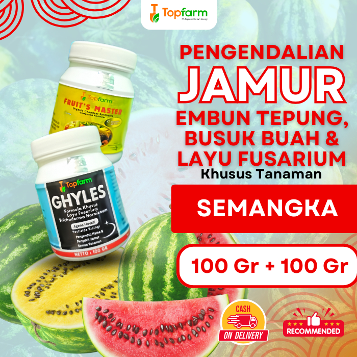 Obat Jamur Akar Tanaman Semangka / Fungisida Pembasmi Jamur Semangka / Obat Jamur Daun Semangka / Fu