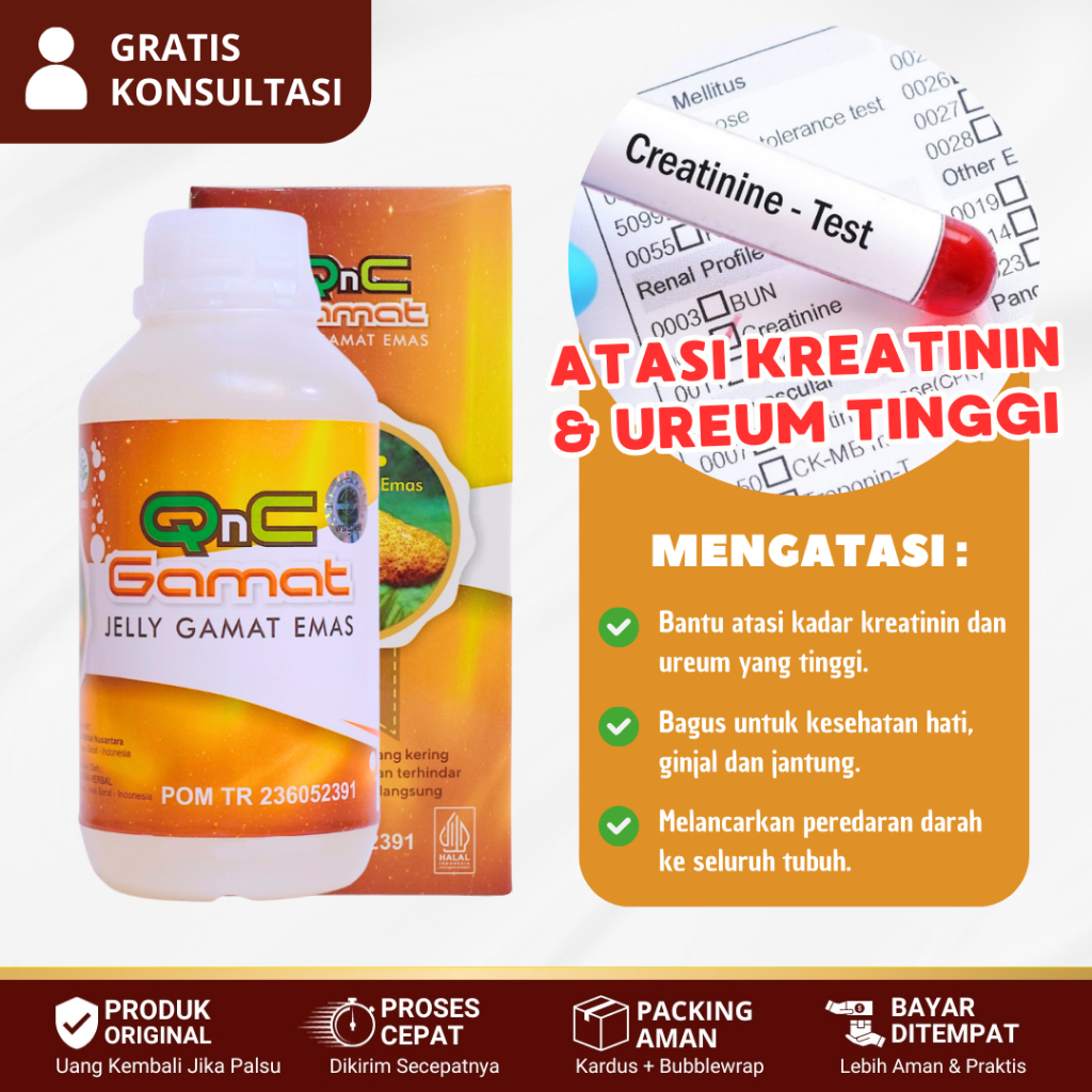 Obat Penurun Kreatinin Dan Ureum, Obat Untuk Menormalkan Fungsi Ginjal - QnC Jelly Gamat