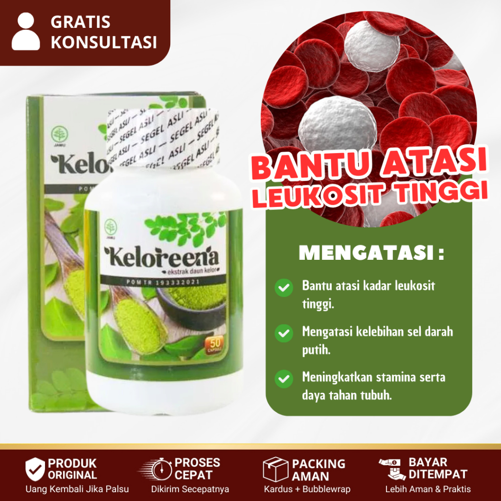 Obat Penurun Leukosit, Herbal Leukosit Tinggi, Kelebihan Sel Darah Putih, Badan Lesu - KELOREENA