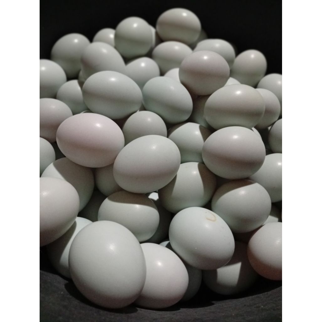 Telur Asin Mentah | Oren Masir Mantab