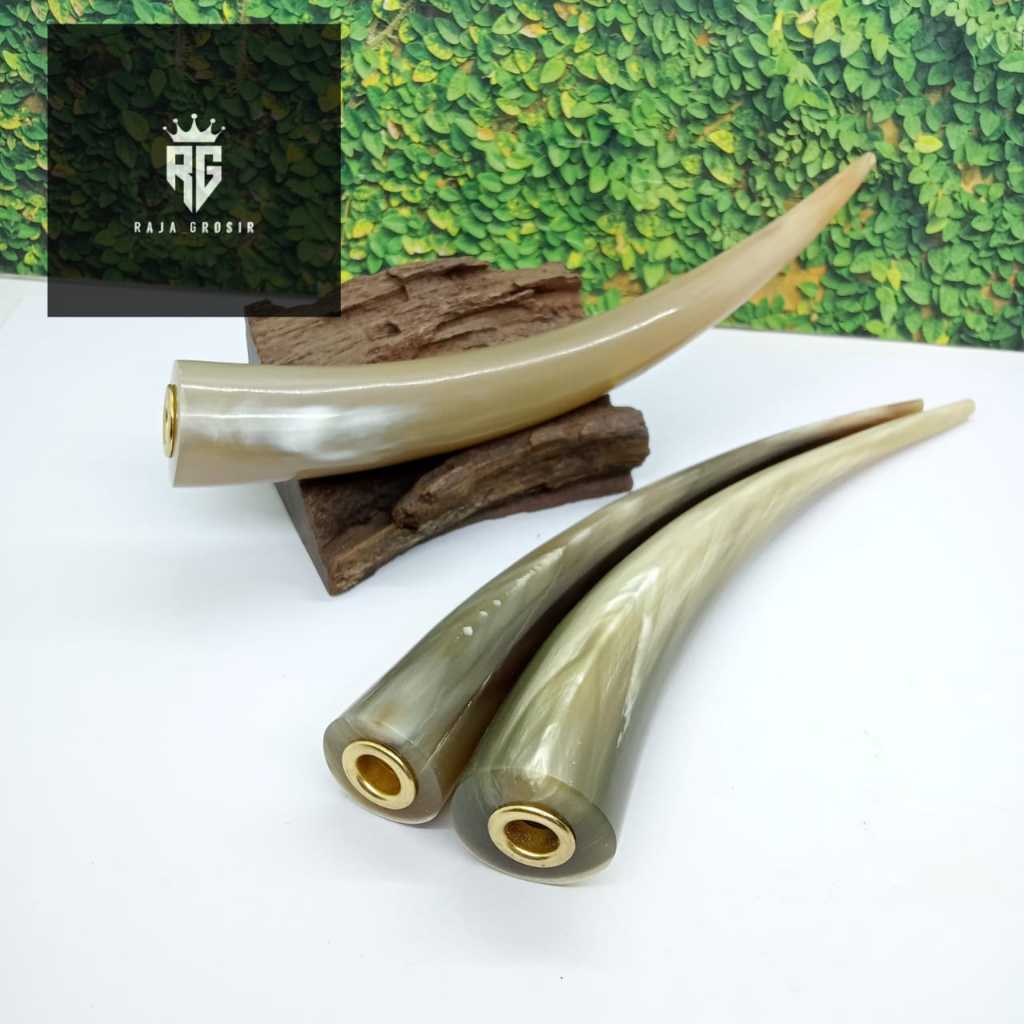 Once Pipa Tanduk Kerbau Bule Super Panjang 16 - 18cm